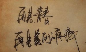 封面