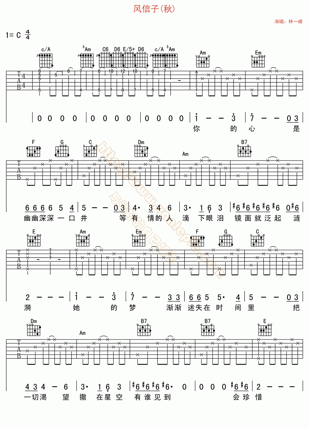 风信子(秋)