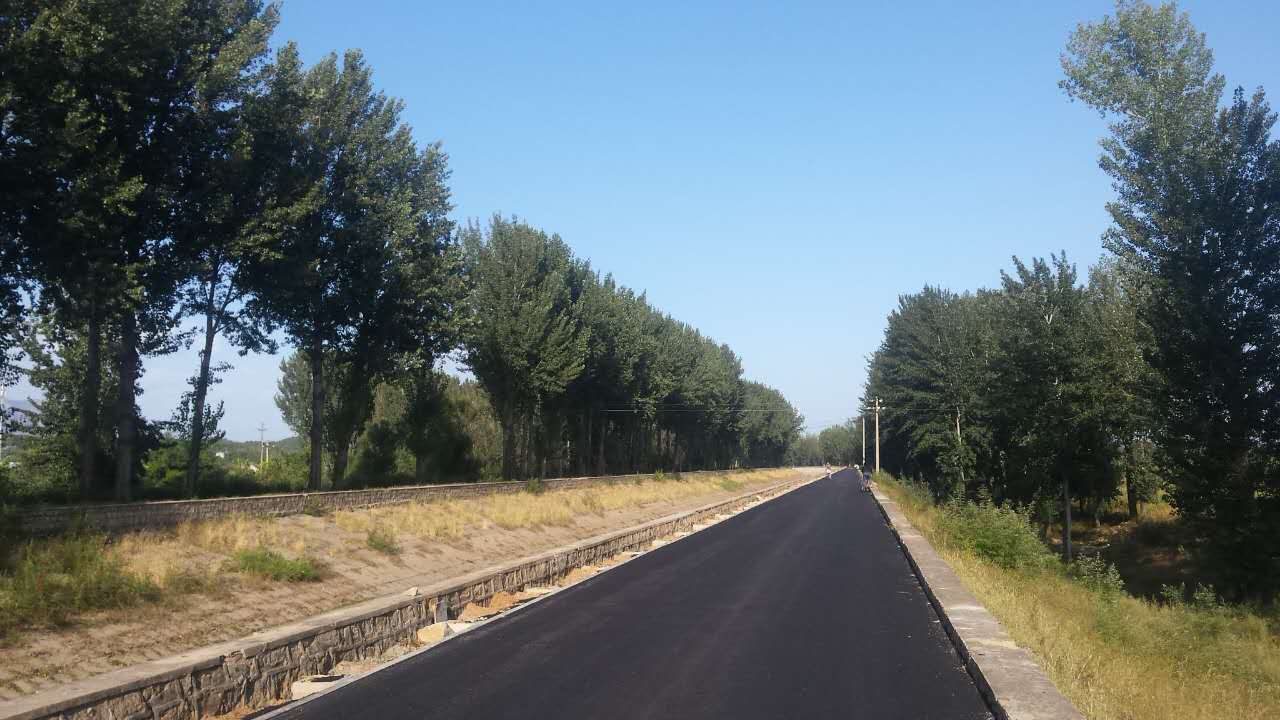 1702704872.jpg