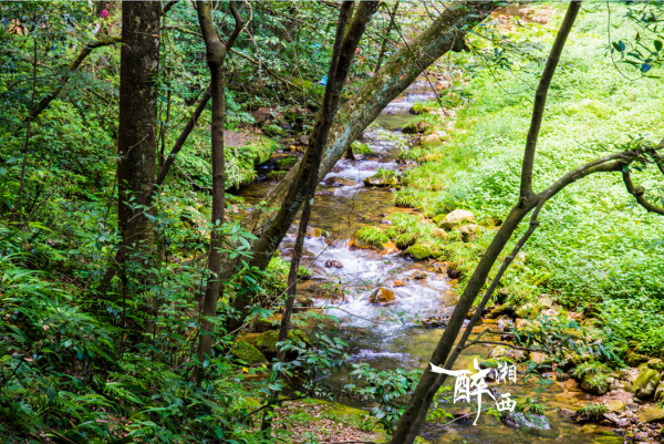 湘西魅力