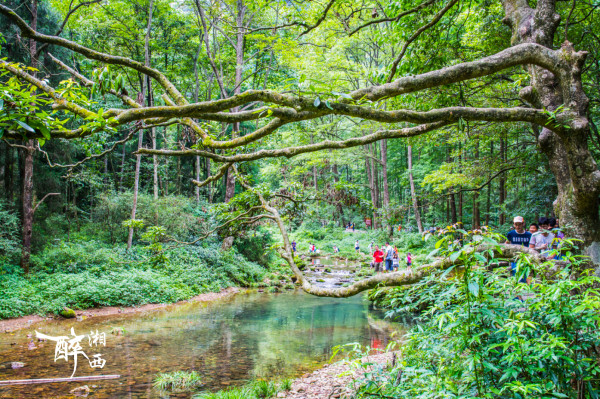 湘西魅力