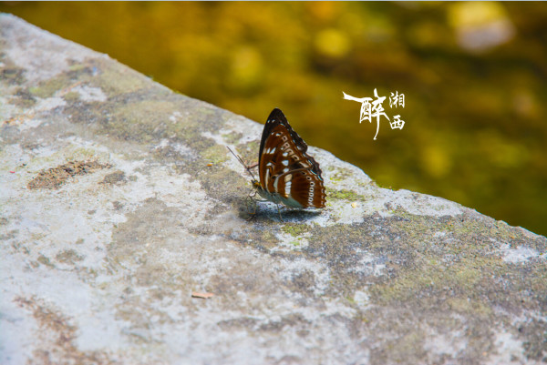 湘西魅力