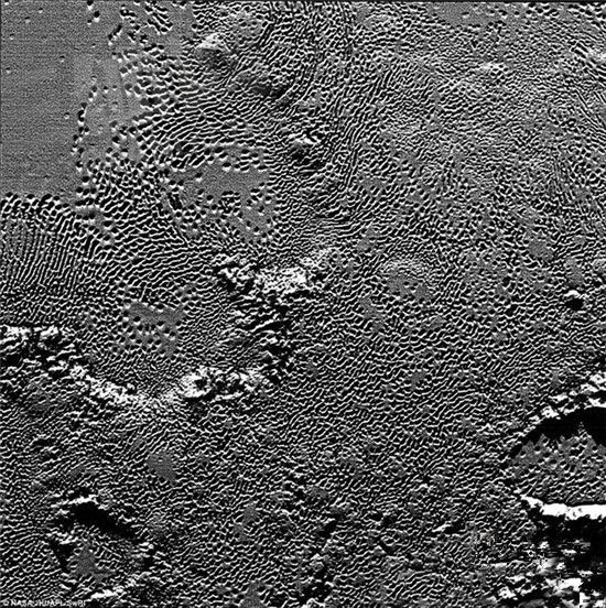8868925_023002.jpg